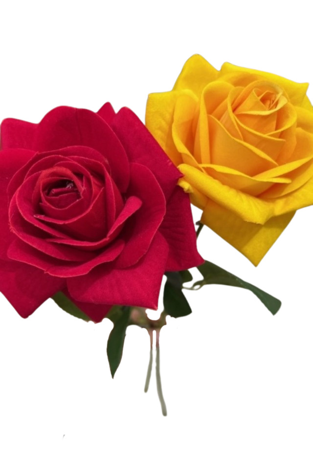 ROSE ROSES ARTIFICIAL ARTIFICIALS FLOWERS FLOWER STEM STEMS INDIAN INDIANS BOLLYWOOD BOLLYWOODS BRIGHT BRIGHTS VIBRANT VIBRANTS SINGLE SINGLES