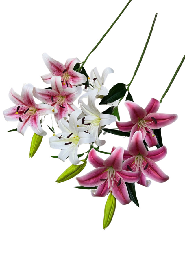 LILY LILIES LILIE ARTIFICIAL ARTIFICIALS FLOWER FLOWERS LILLIES LILLY LILLIE ORIENTAL LILIES ORIENTAL LILY ORIENTAL LILIE STARGAZER STARGAZERS CASA BLANCA CASA BLANCAS MONA LISA MONA LISAS JOURNEYS END JOURNEYS ENDS DELUXE DELUXES DELUX PU PUS SPRAY SPRAYS SPRAIE HEAD HEADS BUD BUDS