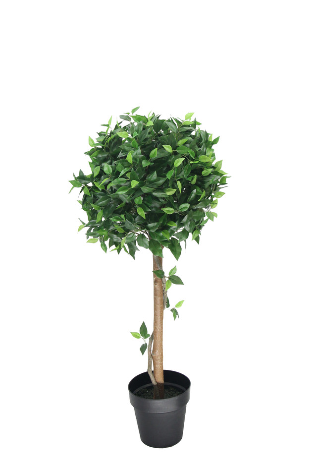 GGREENERY GGREENERIES GGREENERIE ARTIFICIAL ARTIFICIALS FLOWER FLOWERS PLANT PLANTS SYNTHETIC SYNTHETICS FAKE FAKES SILK SILKS PLASTIC PLASTICS POT POTS POTTED POTTEDS TREE TREES FICUS FICU TOPIARY TOPIARIES TOPIARIE GREENERY GREENERIES GREENERIE