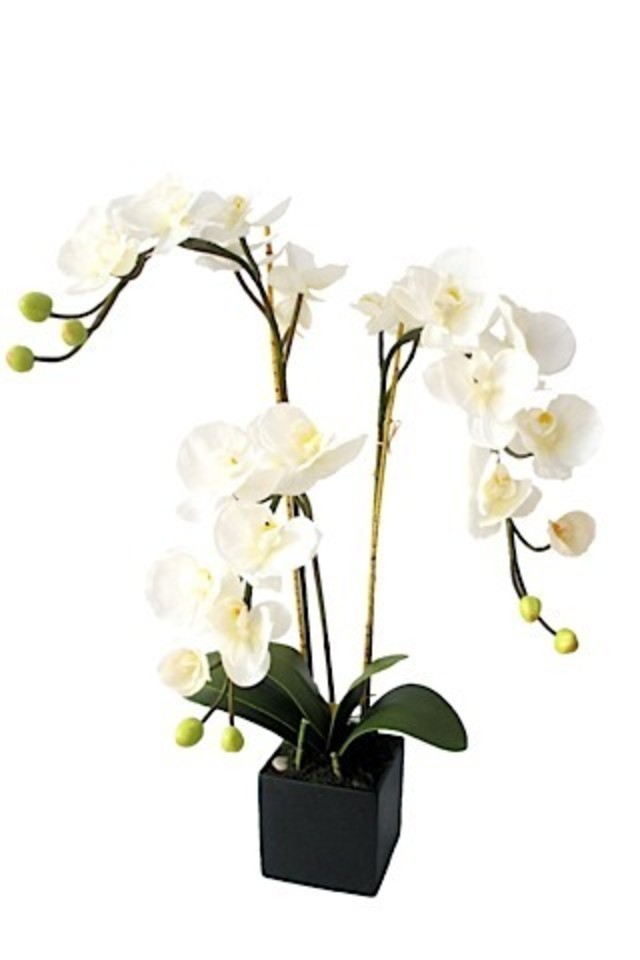 ARTIFICIAL ARTIFICIALS FLOWER FLOWERS PLANT PLANTS SYNTHETIC SYNTHETICS FAKE FAKES SILK SILKS PLASTIC PLASTICS ARRANGEMENT ARRANGEMENTS POTTED POTTEDS ORCHID ORCHIDS POT POTS LARGE LARGES