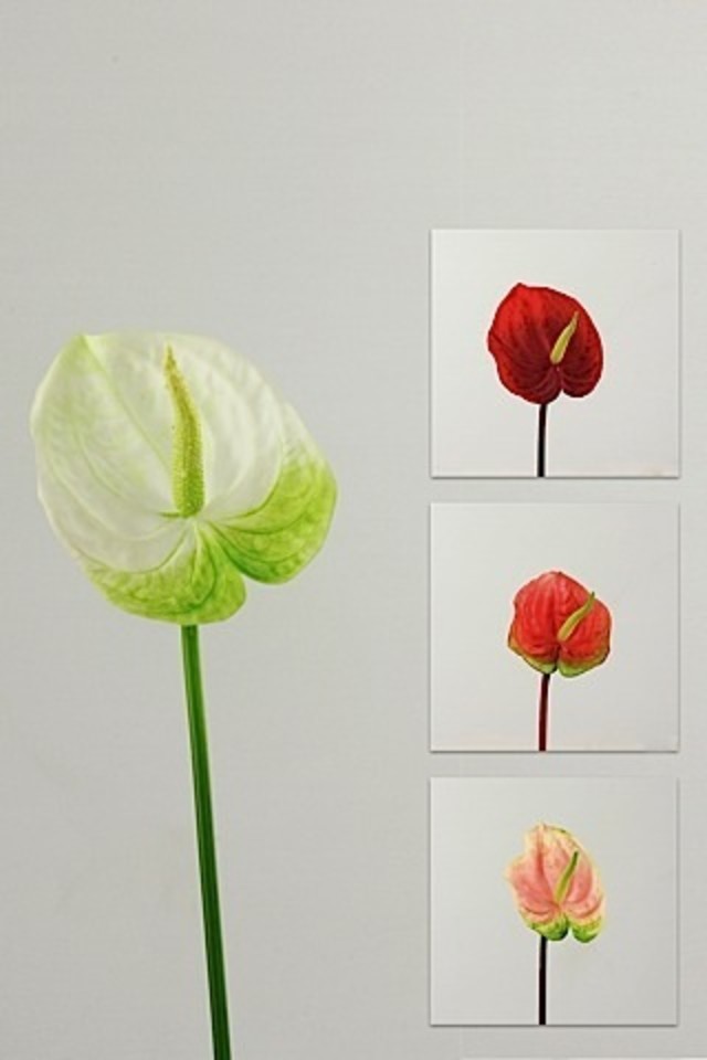 ANTHURIUM ANTHURIA FLOWER FLOWERS 30CM 30CMS ARTIFICIAL ARTIFICIALS