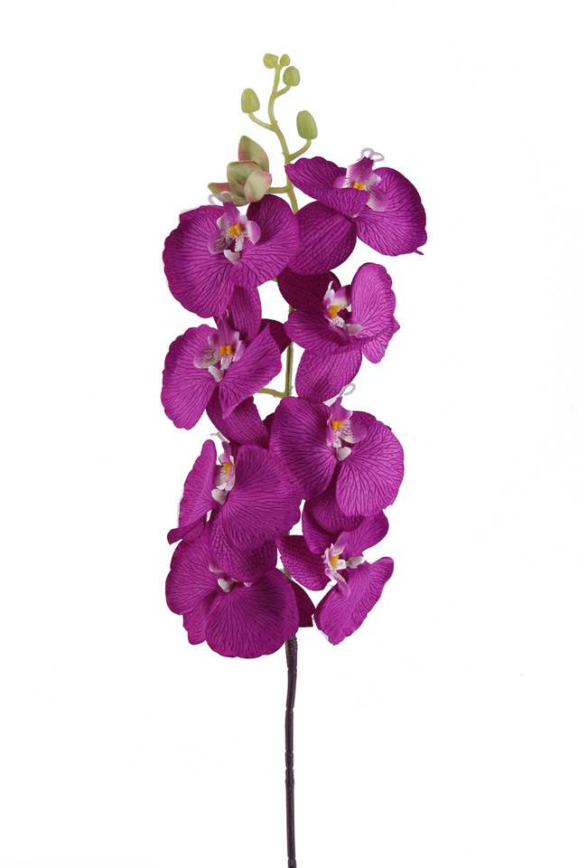 PHALAENOPSIS PHALAENOPSI PHALAENOPSES PHALAENOPSE ORCHID ORCHIDS ARTIFICIAL ARTIFICIALS FLOWERS FLOWER ORIENTAL ORIENTALS FLOCKED FLOCKEDS LGE LGES MED MEDS HEADS HEAD BUD BUDS