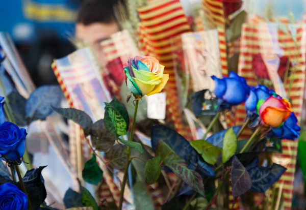 Wholesale Wedding & Events Supplies